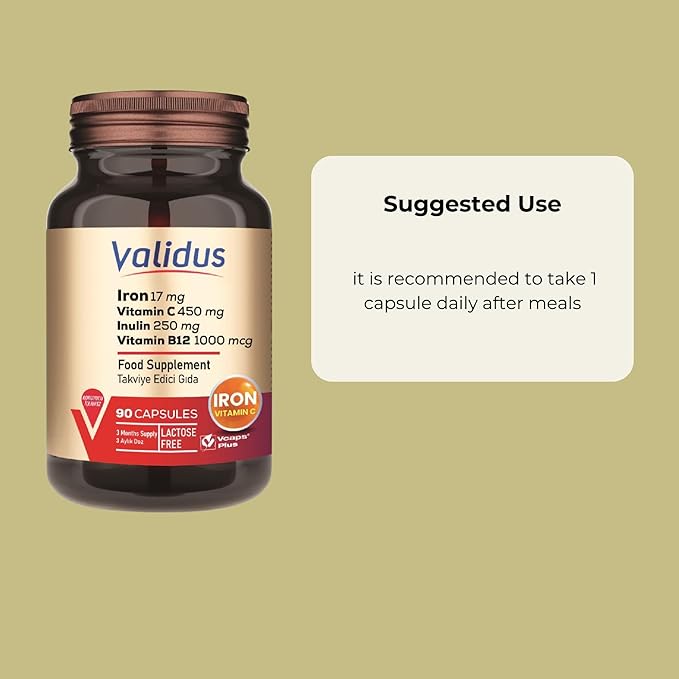 Validus Premium Iron 17 mg - 450 mg Vitamin C - Vitamin B12 1000 mcg - Red Blood Cell Support - Energy Production - Highly Bioavailable Iron Pill - Gluten Free & Vegan - 90 Capsules