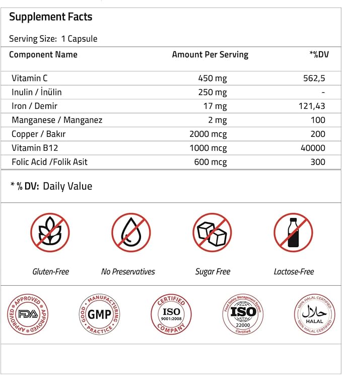 Validus Premium Iron 17 mg - 450 mg Vitamin C - Vitamin B12 1000 mcg - Red Blood Cell Support - Energy Production - Highly Bioavailable Iron Pill - Gluten Free & Vegan - 90 Capsules