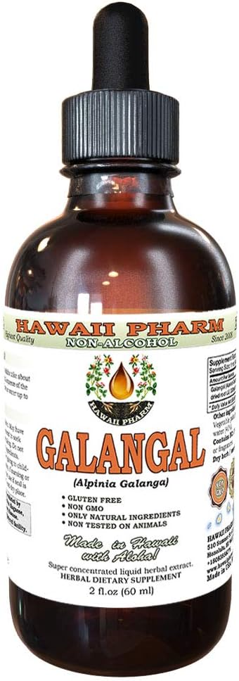 Hawaii Pharm Galangal Root Alcohol-Free Liquid Extract, Organic Organic Galangal (Alpinia Galangal) Dried Root Glycerite Natural Herbal Supplement 2 oz