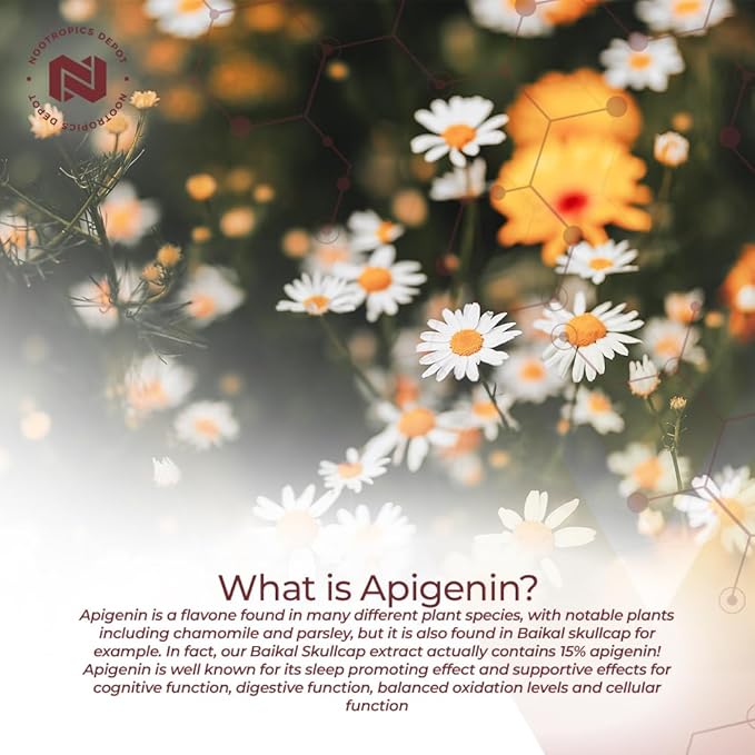 Nootropics Depot Apigenin Capsules | 200mg | 120 Count | >98% Apigenin | Supports Healthy Stress Levels
