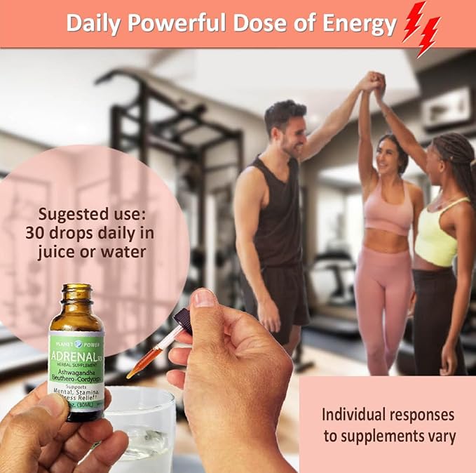 Adrenal Daily Liquid Drops. Supports Wellness & Energy. Supplement with Adaptogenic Herbs Ashwagandha, Eleuthero, Rhodiola & Cordyceps