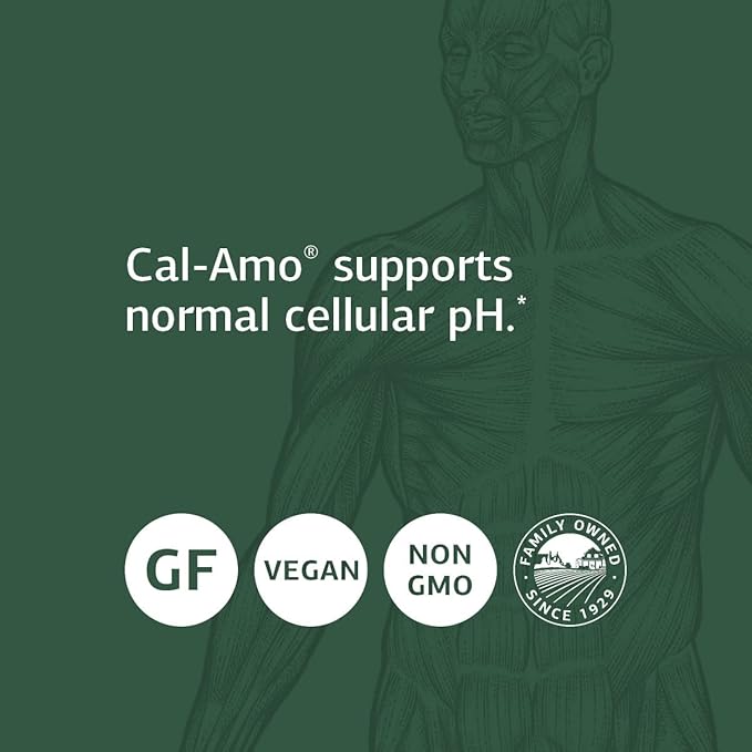 Standard Process Inc. Cal-Amo - Cellular pH Support and Lung Support Supplement with Magnesium Citrate, Calcium Chloride, Calcium Lactate, Ammonium Chloride - 90 Tablets