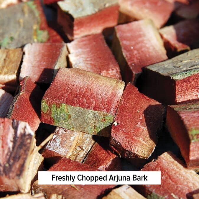 Banyan Botanicals Organic Arjuna Powder – Arjuna Bark Powder (Terminalia Arjuna) –Traditional Herbal Heart Supplement for Proper Heart Function* – 1 lb. – Non-GMO, Sustainably Sourced, Vegan*