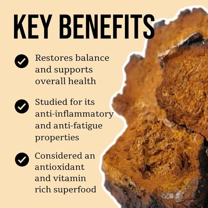 North Spore Chaga Mushroom Tincture | Energy & Wellness Boosting Supplement Drops | Adaptogenic Superfood | Dual Extract Organic Blend, 100% Fruiting Bodies | Non-GMO, Vegan - 2oz