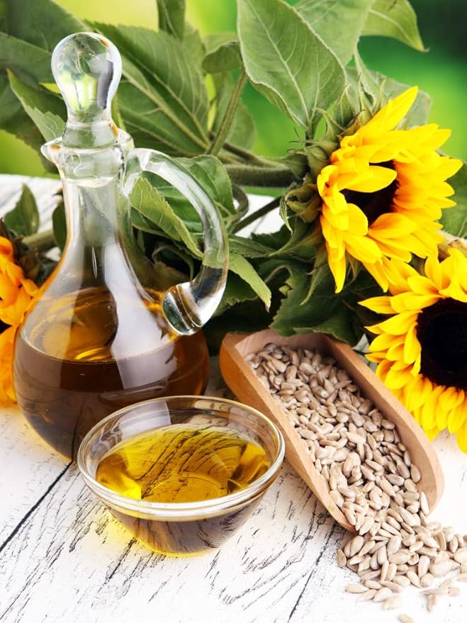 Carlyle Sunflower Lecithin Liquid | 16 oz | 2 Pack | Vegan, Vegetarian, Non-GMO, Soy Free, Gluten Free