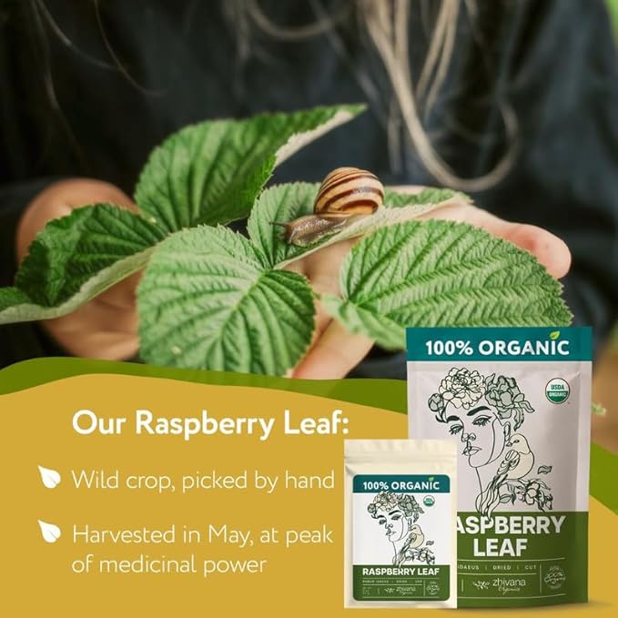 Red Raspberry Leaf Tea Organic – Loose Raspberry Leaves for PMS Symptom Relief, Healthy Women's Cycle, and Reproductive Health – 2 Ounces