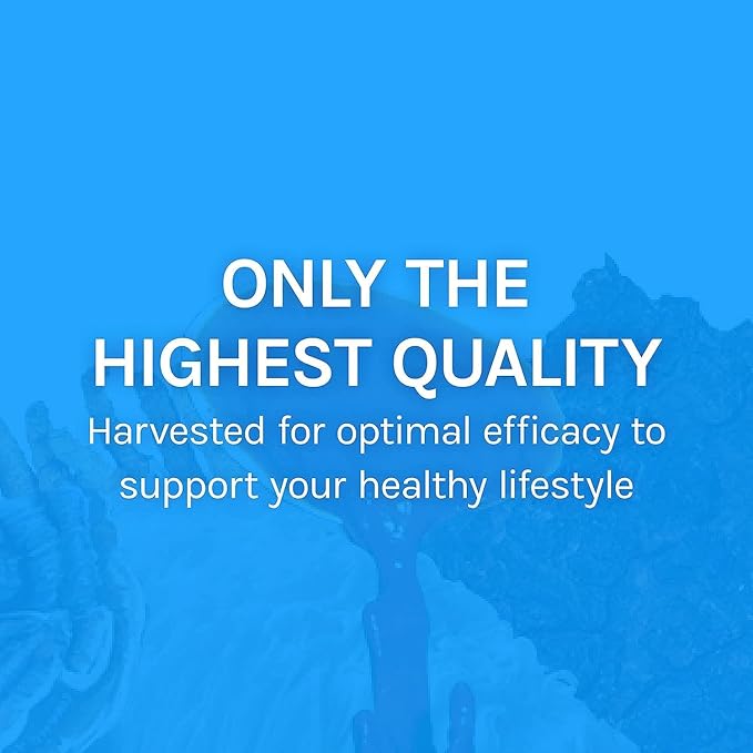 Host Defense Breathe* Capsules - Immune & Respiratory Support Mushroom Supplement - Herbal Lung Health Supplement with Chaga, Reishi & Cordyceps - 120 Capsules (60 Servings)*
