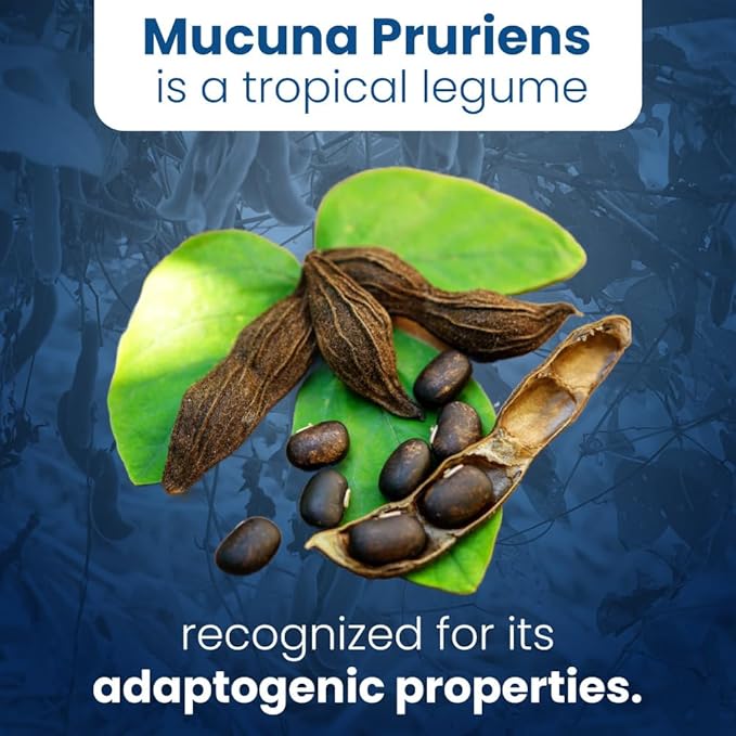 Well of Life: Mucuna Pruriens 60 Veggie Capsules, Supplement for Relaxation, Mood & Well-Being, 15% Extract Natural, USA Made, No Color Added No Artificial Ingredients & Non-GMO