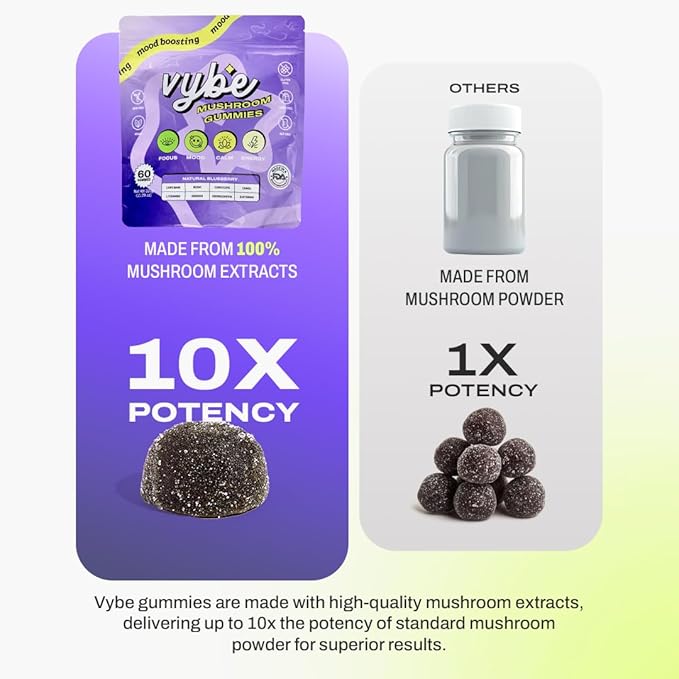 Vybe Mushroom Gummies for Focus and Energy - All-In-One Daily Mushroom Supplement - 8-in-1 Adaptogen Supplement Blend with Lion’s Mane, Cordyceps, Reishi, Chaga, Ashwagandha (Blueberry, 60-Count)
