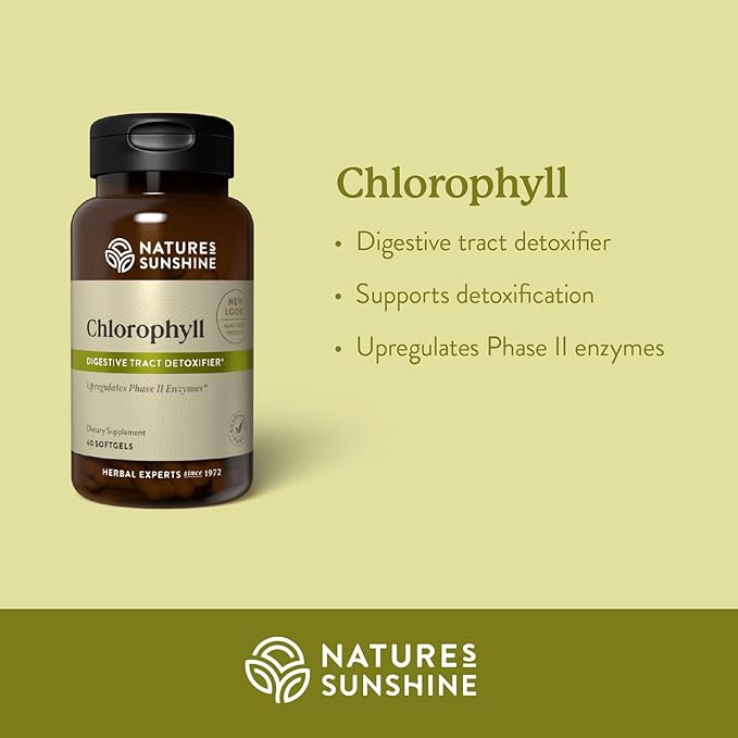 Nature's Sunshine Chlorophyll, 60 Softgel Capsules: Support Digestion, Immunity & Detoxification with Internal Deodorant Benefits. Easy-to-Swallow Capsules Promote Overall Well-Being & Energy