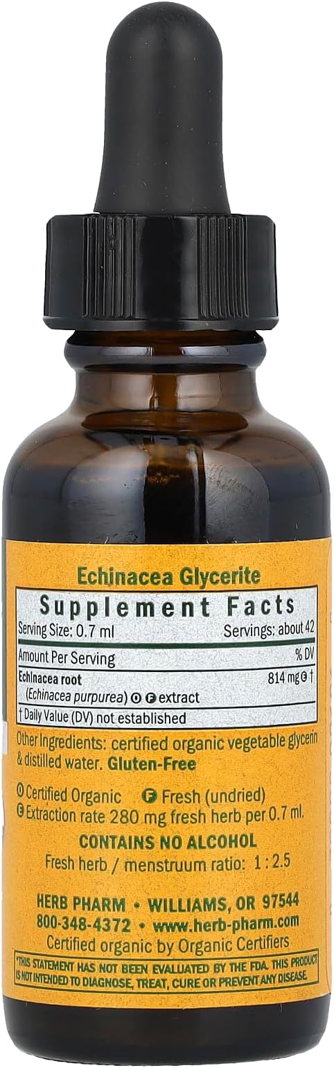 Herb Pharm Organic Echinacea Glycerite, 1 FZ