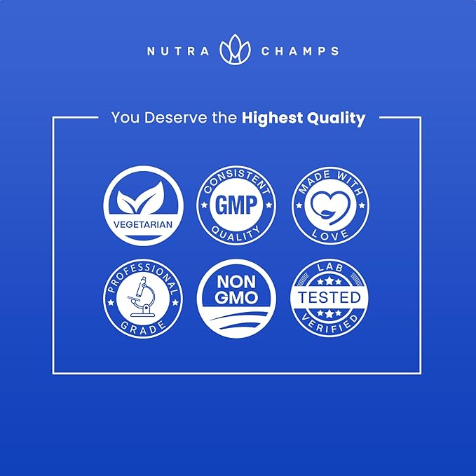 NutraChamps Multivitamin for Men, 240 Count, Vitamins A, B, C, D, E, Biotin, Zinc, Mens Gummy Multivitamins Supplement, Chewable Daily Multi Gummy Vitamins for Men (Pack of 2)