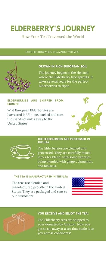 Elderberry Turmeric Ginger Tea - Made in USA