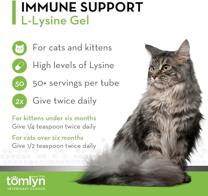 Tomlyn Immune Support Daily L-Lysine Supplement: Maple-Flavored Lysine Gel for Cats and Kittens, 5oz