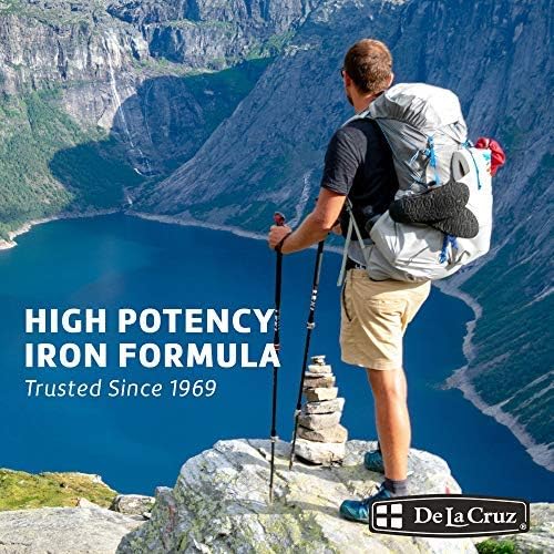 Globulo Rojo Iron Supplement - Liquid Dietary Supplement with High Potency Iron & B Vitamins (Vegan) (16 Fl Oz (Pack of 1))