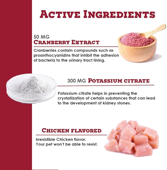 K-Plus Potassium Citrate + Cranberry Granules for Dogs & Cats – Vet-Approved UTI & Bladder Health Support – Helps Maintain Urinary Balance & Kidney Function – Easy-to-Use Granules – 60 Doses