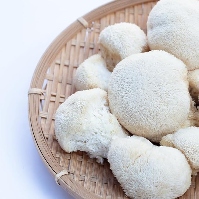 Lion's Mane Mushroom Extract, 1 lb, Hericium Erinaceus Extract, Herbal Supplement, Always Pure