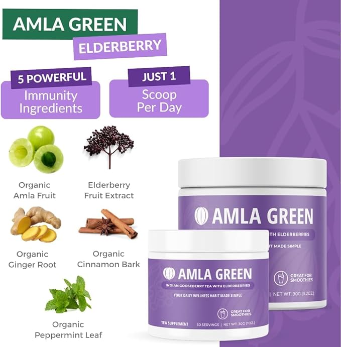 Amla Powder & Green Tea Superfood Supplement with Elderberry & Pumpkin Spice, Organic, Vegan, 30 Servings