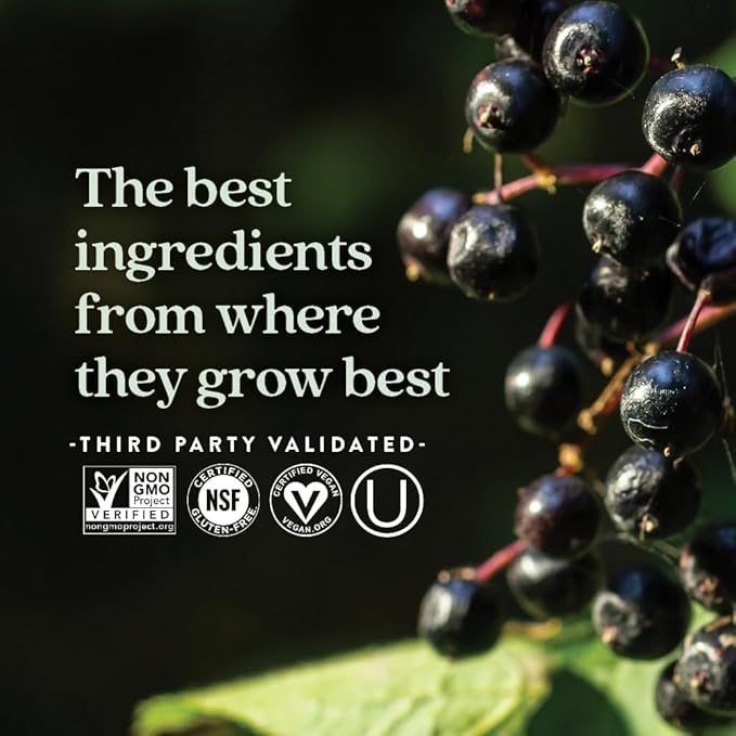 New Chapter Vegan Elderberry Capsules with 64x Concentrated Black Elderberry + Black Currant for Comprehensive Immune Support, Non-GMO Project Verified, Gluten Free, Certified Vegan, 30 Count
