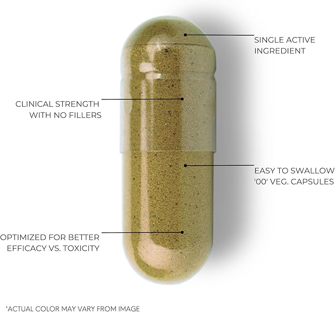 Bacopa Monnieri Capsules 750mg – Herbal Supplement with 40% Bacosides Bacopa Monnieri – 60 Capsules