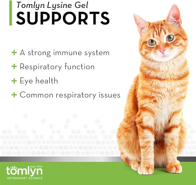 Tomlyn Immune Support Daily L-Lysine Supplement: Maple-Flavored Lysine Gel for Cats and Kittens, 5oz