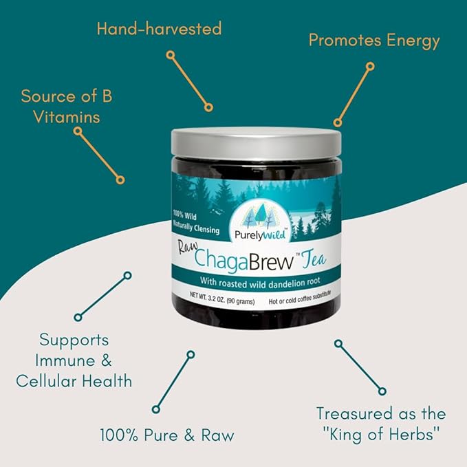 PURELY WILD Dr. Cass Ingram's Wildcrafted Chaga Mushroom Extract Powder – 90g – Nourishing Chaga Tea, Coffee Alternatives & Smoothies – Clean Energy Support – Vegan, Gluten-Free, No Fillers