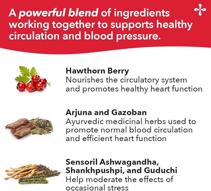 LifeSeasons B/P Stabili-T - Blood Pressure Support - Supplement for Healthy Heart & Circulation - Ashwagandha, Arjuna, Gotu Kola & Hawthorn Berry - 120 Capsules