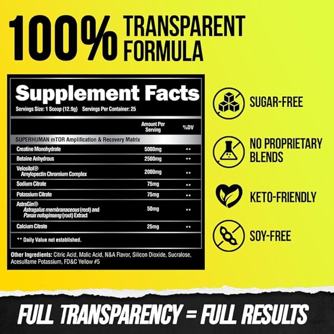 Alpha Lion Superhuman Post Workout Powder, Muscle Builder Drink, Creatine Monohydrate + More for Lean Muscle Growth, Strength & Volume, Supplement for Women & Men (25 Servings, Muscle Marg)