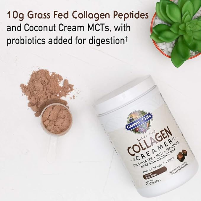 Garden of Life Grass Fed Collagen Creamer Powder - Chocolate, 12 Servings, Collagen Powder for Coffee Energy Beauty Joints, Coconut MCTs, Keto Collagen Protein Supplements