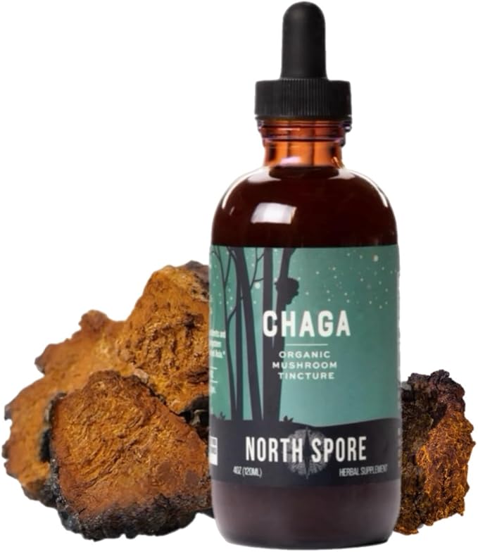 North Spore Organic Chaga Mushroom Tincture (4 oz) | 100% Fruiting Body Extracts | Immune Support, Energy, and Balance | Certified Organic, Vegan, Non-GMO | Adaptogenic, Nootropic | Made in USA