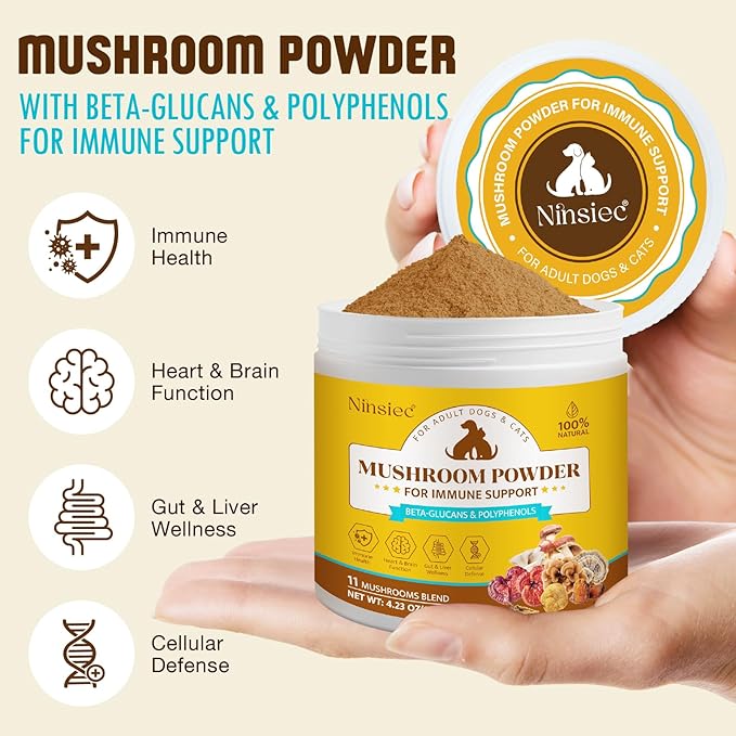 Organic Mushroom Supplement Powder for Dogs & Cats – 11 Mushroom Complex with Turkey Tail, Reishi & Cordyceps, Supports Lipoma, Lumps & Bumps Relief, Immune & Skin Health, 120g