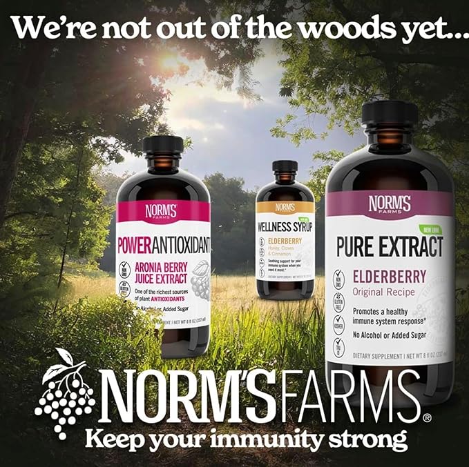Norm's Farms American Elderberry Extract - Pure Concentrate for Immune Support Made with Berries - Vegan, Gluten Free, Non-GMO - 8 Oz. Bottle