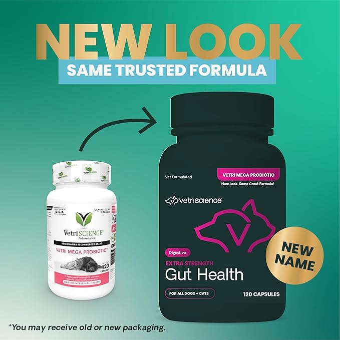 VetriScience Extra Strength Gut Health Probiotic & Prebiotic Digestive Supplements for Dogs & Cats, Gas & Diarrhea & Immune Support, Easy-Open Capsules, 120 Count - New Look