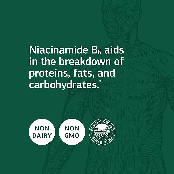 Standard Process Inc. Niacinamide B6 - Whole Food Energy, Metabolism and Nervous System Supplements with Soy Protein, Vitamin B6, Ascorbic Acid, Calcium Lactate, and Niacinamide - 90 Capsules