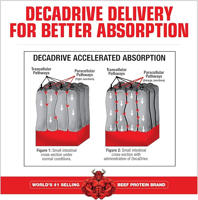 MuscleMeds Amino DECANATE Energy, Pre, Intra Workout Drink, Essential Amino Acids, BCAAs, High Leucine, Glutamine, Muscle Recovery, Strawberry Kiwi, 30 Servings