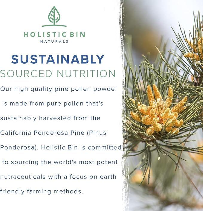 Holistic Bin Pine Pollen Capsules 500mg (Pinus Ponderosa) - Wild Harvested California Ponderosa Pine Pollen Powder - Olympic Grade - Organic, Non-GMO, No Fillers - 30 Day Supply (40 Capsules)
