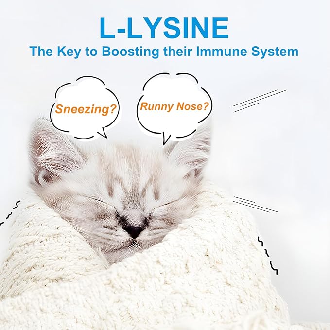 L-Lysine Powder for Cats, 2PC Lysine Powder Supplement Support Cats Immune Respiratory Health – Lysine Powder for Cats Eye Care, Pets Health Supplemnt for Cats of All Age - Salmon Flavor / 120g x 2