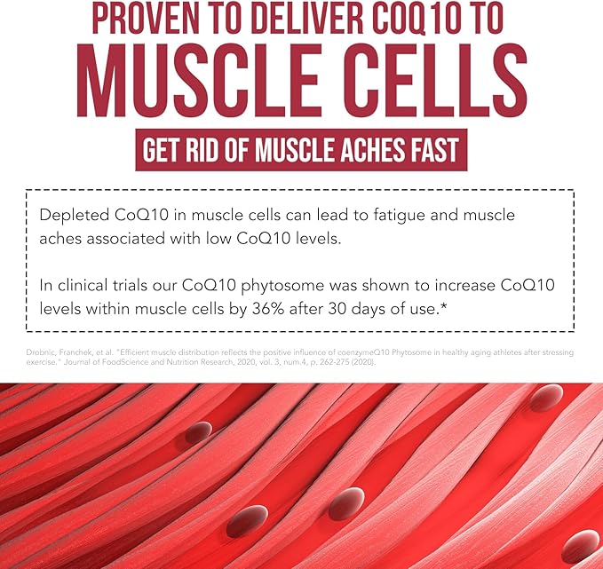 SoActive CoQ10® 250 mg: CoQ10 Phytosome with up to 9X Higher Absorption - Proven Cellular Delivery - Supports Cellular Energy Production (60 Capsules)