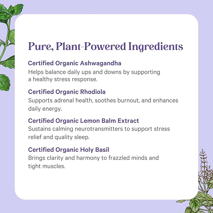 PURE SYNERGY Stress Remedy | Soothing Supplement with Ashwagandha | Organic Adaptogen Support from Rhodiola, Lemon Balm, and Holy Basil | for Stress Relief, Adrenal Health, and Mood (60 Capsules)
