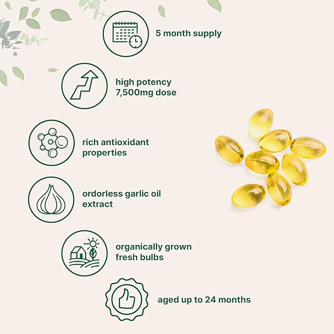 Micro Ingredients Odorless Garlic 7500mg Per Servings, 300 Softgels | 2 Years Aged Garlic Extract, Grown Allium Sativum Bulb | Potent Antioxidant Supplement, Immune Support, and Heart Health