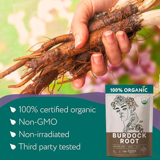 Super Value Pack 10 LB - Organic Burdock Root Tea - Digestion, Liver Support, Fluid Balance - Healthy Skin