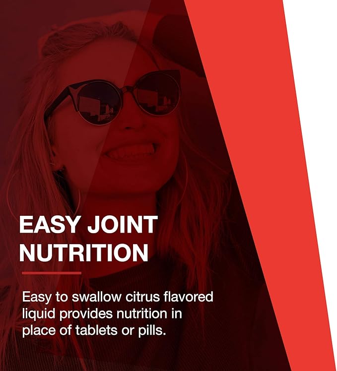 PROTOCOL FOR LIFE BALANCE Liquid Glucosamine & Chondroitin with MSM - Joint Support - Chondroitin MSM Supplement - Egg Free & Dairy Free - 16 fl oz