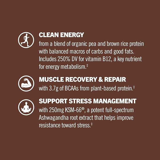 OM MUSHROOM SUPERFOOD Master Blend Creamy Chocolate Protein Powder, 16 Servings, Plant-Based with 10 Mushroom Complex for Recovery & Energy