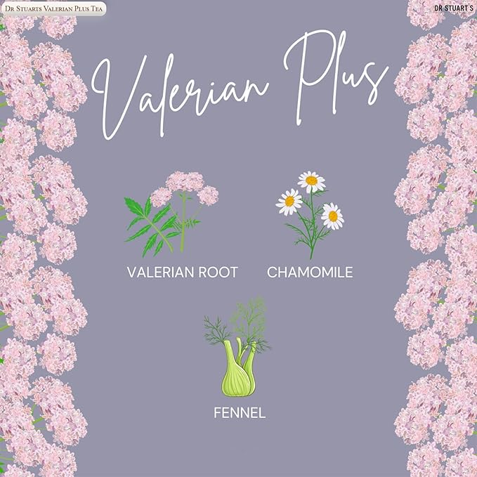 Dr Stuart's Organic Valerian Plus Tea 60 Teabags (15 Bags x Pack of 4) | Herbal Blend of Chamomile, Valerian Root & Fennel | Bedtime Tea Helps in Restful Sleep & Relaxation | Naturally Caffeine Free