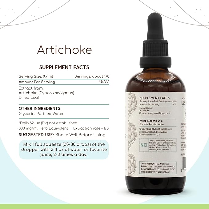 Artichoke B120 (2pcs) Alcohol-Free Herbal Extract Tincture, Concentrated Liquid Drops Natural Artichoke (Cynara scolymus) Dried Leaf (2x4 fl oz)