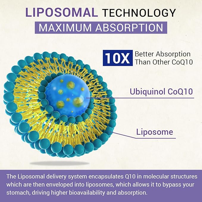 Liposomal Ubiquinol CoQ10 800 MG Softgel, High Absorption CoQ10 Ubiquinol Supplement, Active Coenzyme Q10 800mg, Powerful Antioxidant for Heart & Brain Function, Energy Production, 240 Vegan Softgels