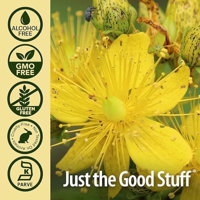 Nature's Answer St. John's Wort Alcohol-Free Liquid Extract (Hypericum Perforatum) | Healthy Mood Support | Non-GMO, Kosher & Gluten-Free 1oz