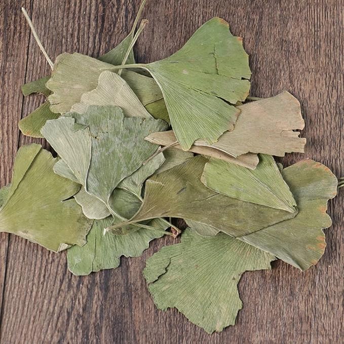 Dried Ginkgo Biloba Leaves Ginkgo Biloba Dried Loose Leaves - Gingko Maidenhair Tree Yinxingye (250 Grams)