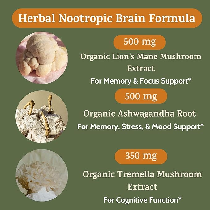 Peak + Valley Nootropic Brain Support Supplement for Memory & Focus with Lion's Mane Mushroom & Ashwagandha - 60 Ct Adaptogen Capsules - Adults/Seniors - Cognitive, Brain Fog, Energy Formula