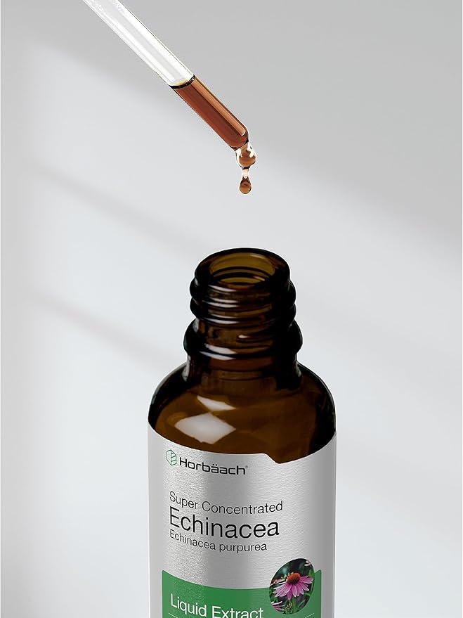 Horbäach Echinacea Drops Liquid Extract | 2 fl oz | Super Concentrated Tincture | Alcohol Free, Vegetarian, Non-GMO, and Gluten Free